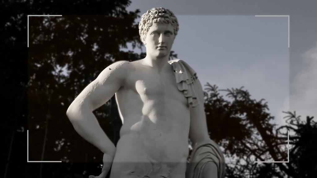 The Photographer The Photographer