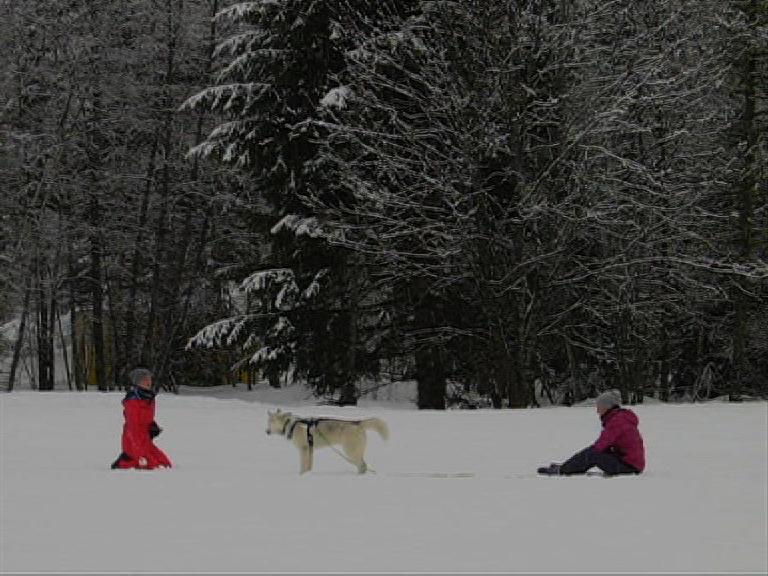 Festival Internacional de Cortometrajes de Teher&aacute;n - 2019