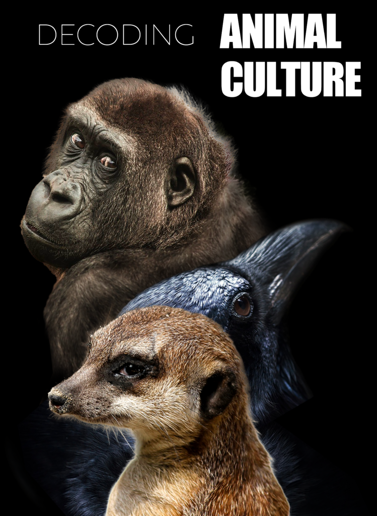 Decoding Animal Culture - © Terranoa Decoding Animal Culture - © Terranoa