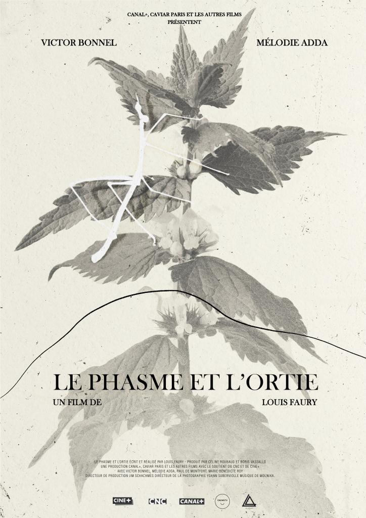 Le Phasme et l’ortie Le Phasme et l’ortie
