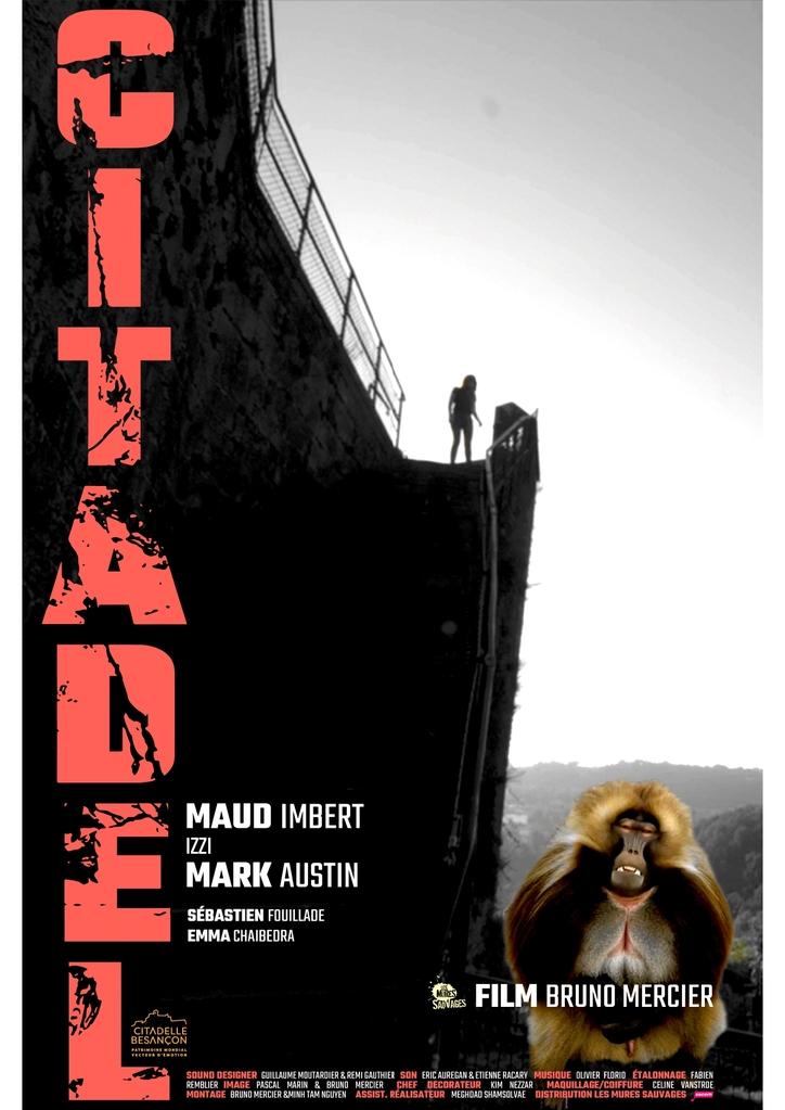 Guillaume Moutardier