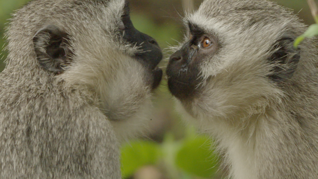 Herv&eacute; Glabeck - &copy; Docland Yard