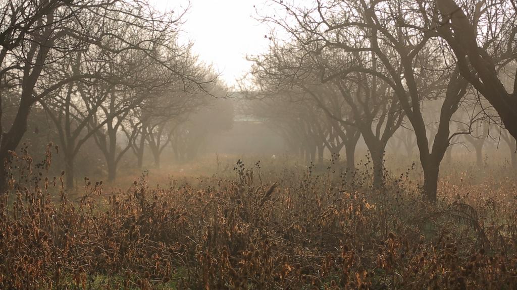 Festival international du film de Singapour - 2018