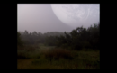 La Forêt de l'espace La Forêt de l'espace