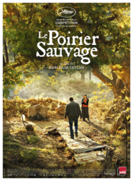Le Poirier sauvage Le Poirier sauvage