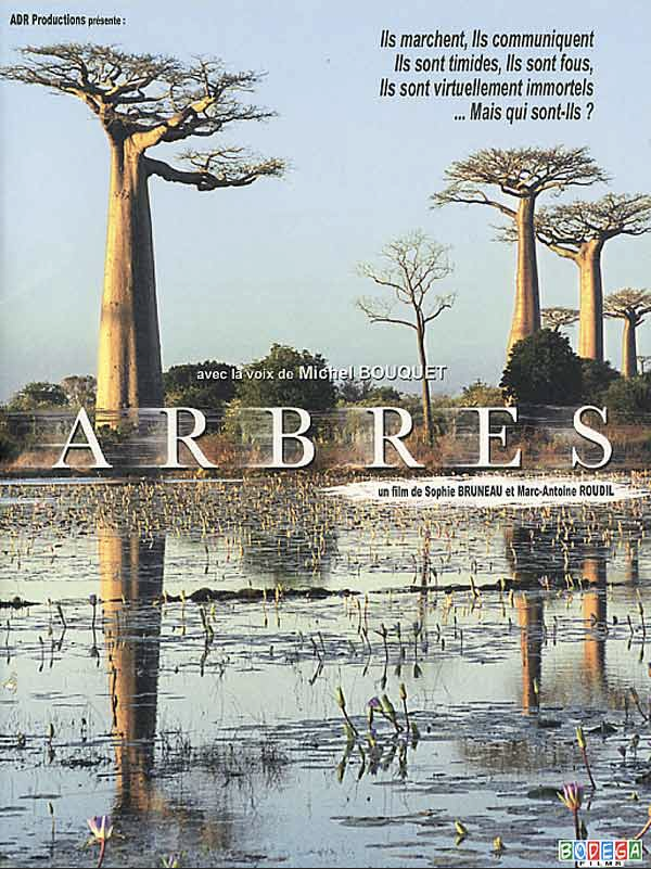 Arbres Arbres