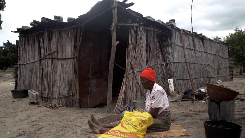 BFI London Film Festival - 2024 BFI London Film Festival - 2024