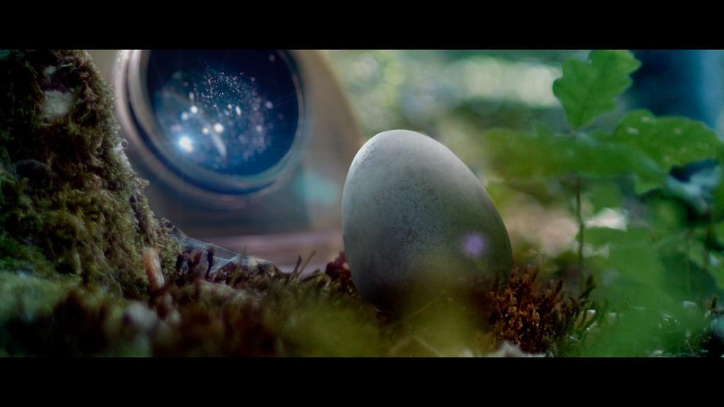 Show Me Shorts - 2024