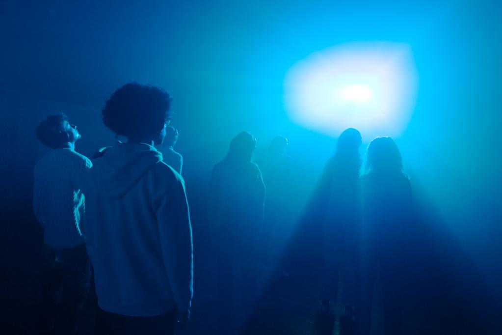 Tamanoir Immersive Studio