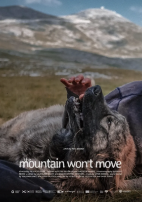 The Mountain Won't Movend of Sar
