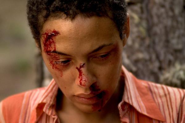 La Nuit des tournesols La Nuit des tournesols