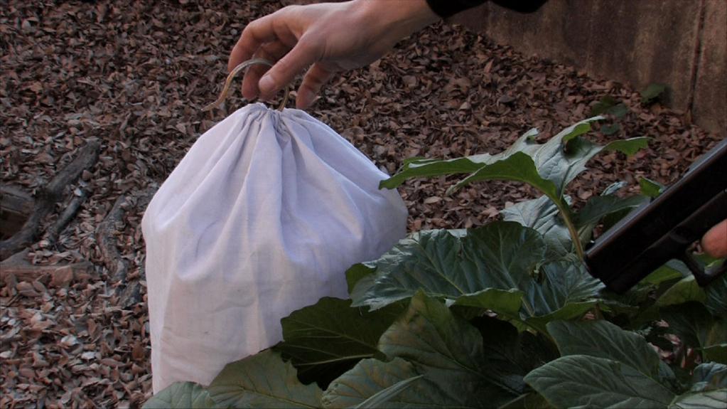 Buenos Aires International Independent Film Festival - 2013 Buenos Aires International Independent Film Festival - 2013