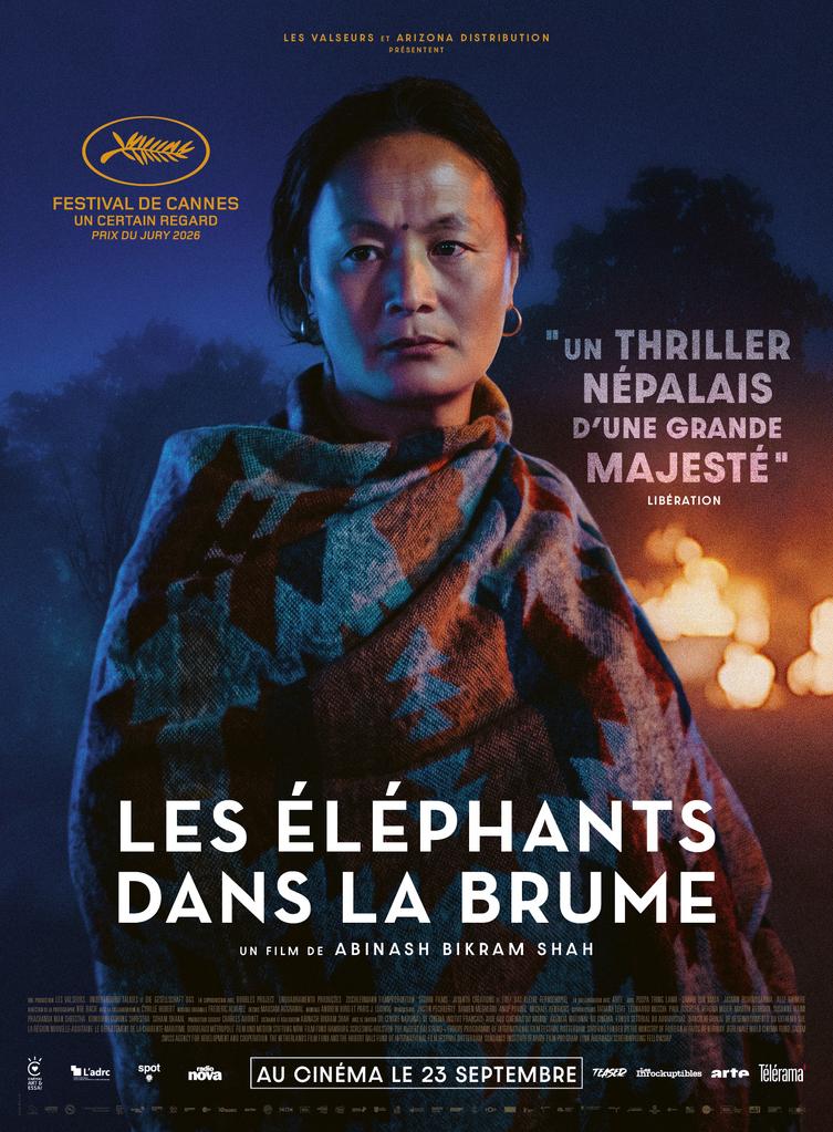 Les &Eacute;l&eacute;phants dans la brume