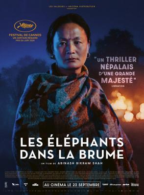 Les &Eacute;l&eacute;phants dans la brume