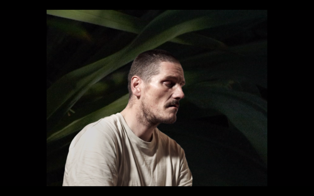 The Outer Space Forest The Outer Space Forest