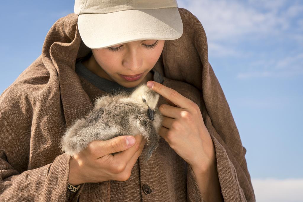 Festival de Cine Francés del Reino Unido - 2021 Festival de Cine Francés del Reino Unido - 2021