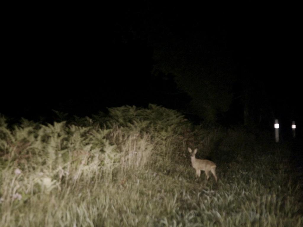 Un pays en flammes Un pays en flammes