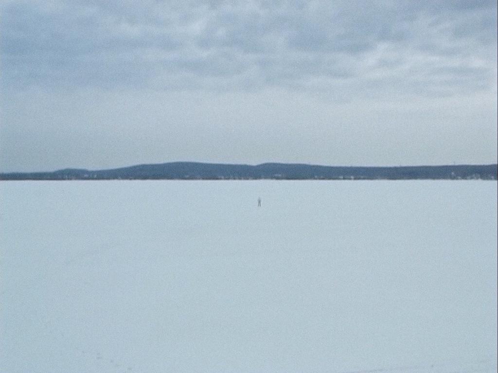 Dickinsonia Dickinsonia