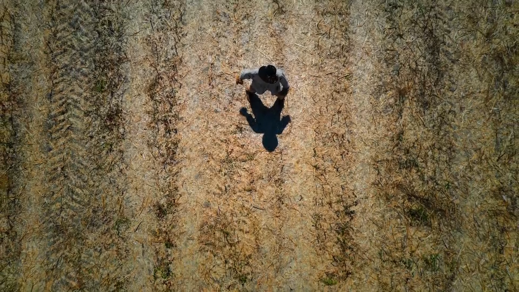 La Grâce du sillon La Grâce du sillon