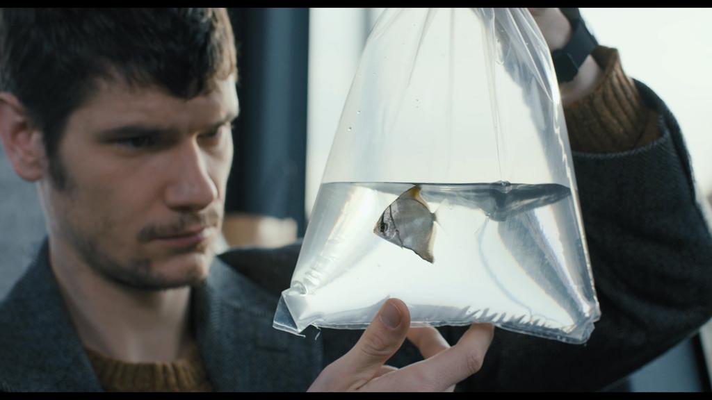 Le Poisson qui rêve des beaux océans -mais qui se tape un vieux bocal- Le Poisson qui rêve des beaux océans -mais qui se tape un vieux bocal-