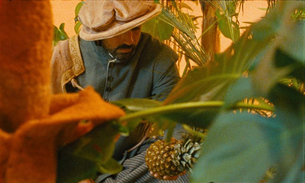 Wild Fruits Wild Fruits