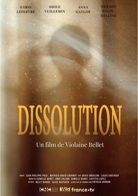 Dissolution Dissolution