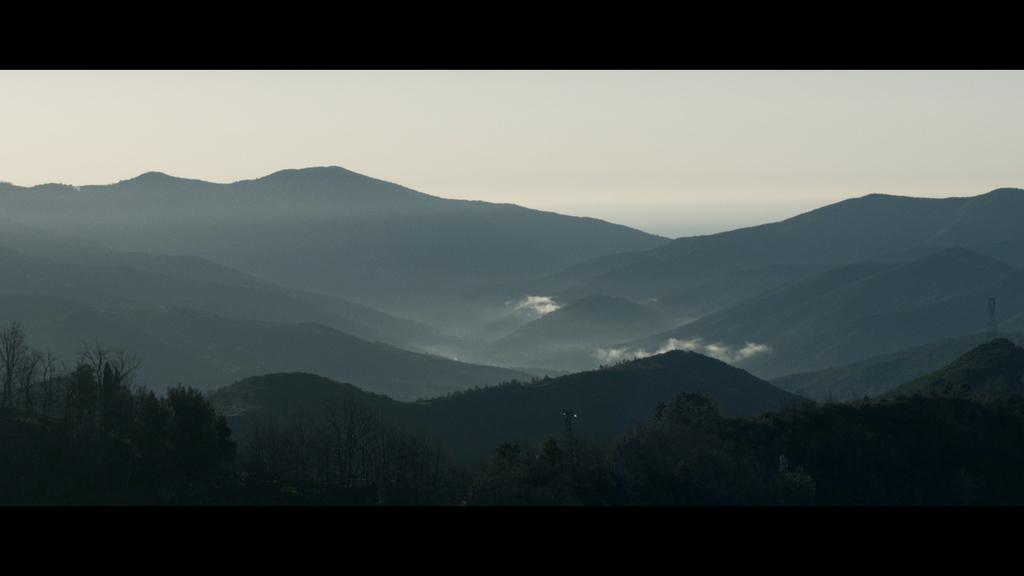 Festival Internacional de Cortometrajes de Clermont-Ferrand - 2020