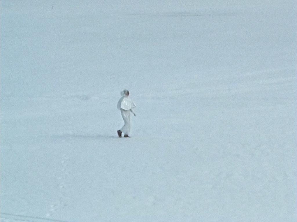 Dickinsonia Dickinsonia