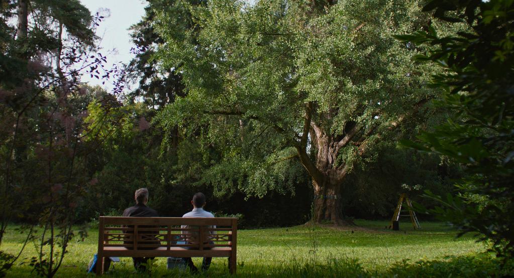 Silent Friend - &copy; Pandora Film - Galat&eacute;e Films - Inforg-M&M Film - Arte France Cin&eacute;ma