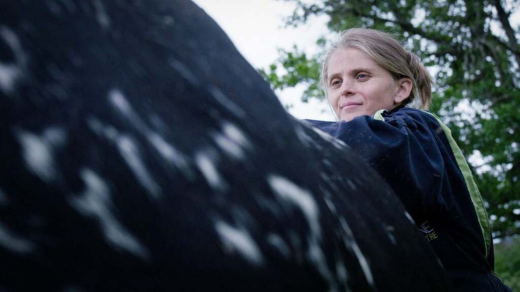 Droits dans leurs bottes Droits dans leurs bottes