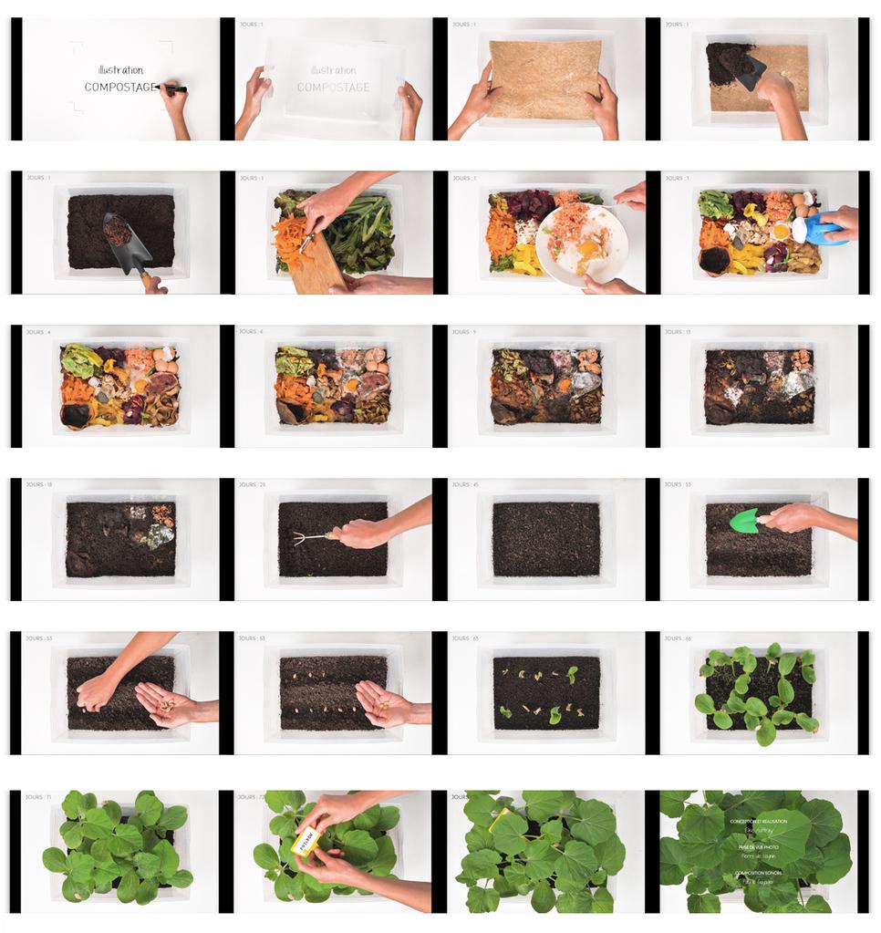 illustration:Composting illustration:Composting