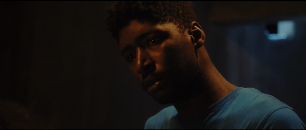 Lees Waxul Lees Waxul