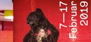 Tout le cinéma français à la 69e Berlinale Tout le cinéma français à la 69e Berlinale