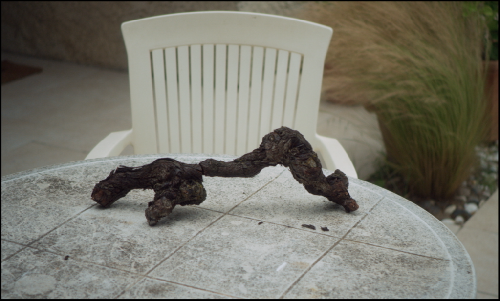 Water is Gold Here Water is Gold Here