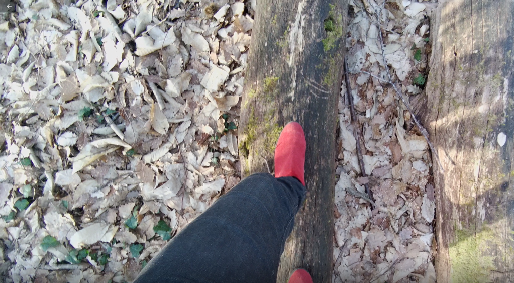 Elisa and Middle-earth Elisa and Middle-earth