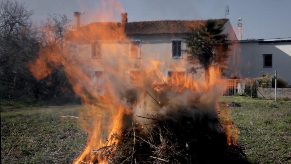 Dans l'œil du chien Dans l'œil du chien