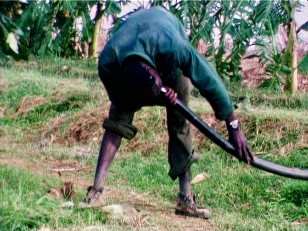 Crossing Voices Crossing Voices