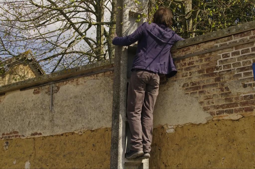 Sa plage et ses cygnes - © Mabel Films Sa plage et ses cygnes - © Mabel Films