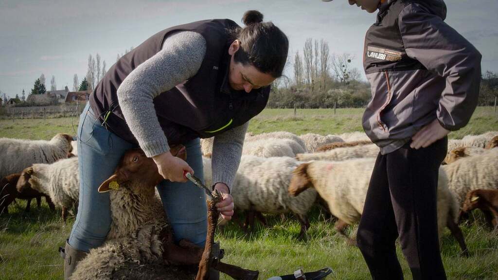 Droits dans leurs bottes Droits dans leurs bottes