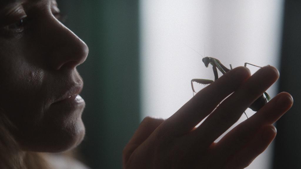 Tampere Film Festival - 2023