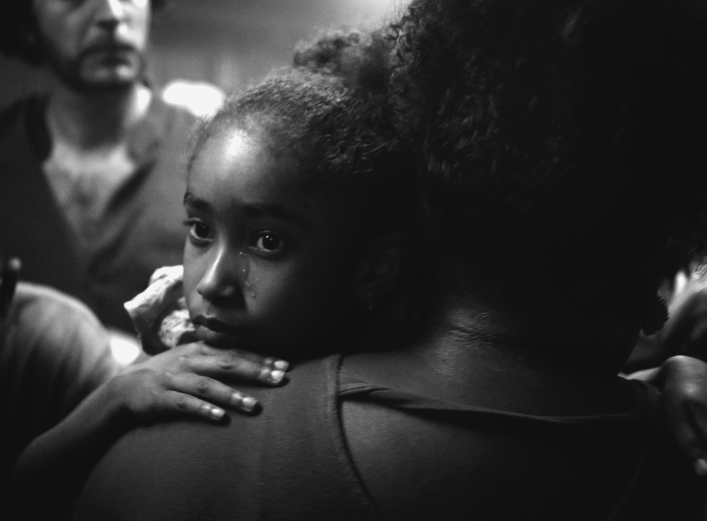 Festival Internacional de Cine de San Francisco - 2023 Festival Internacional de Cine de San Francisco - 2023