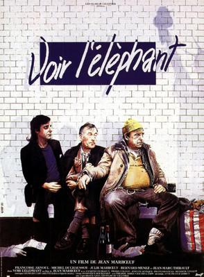 Voir l'éléphant Voir l'éléphant