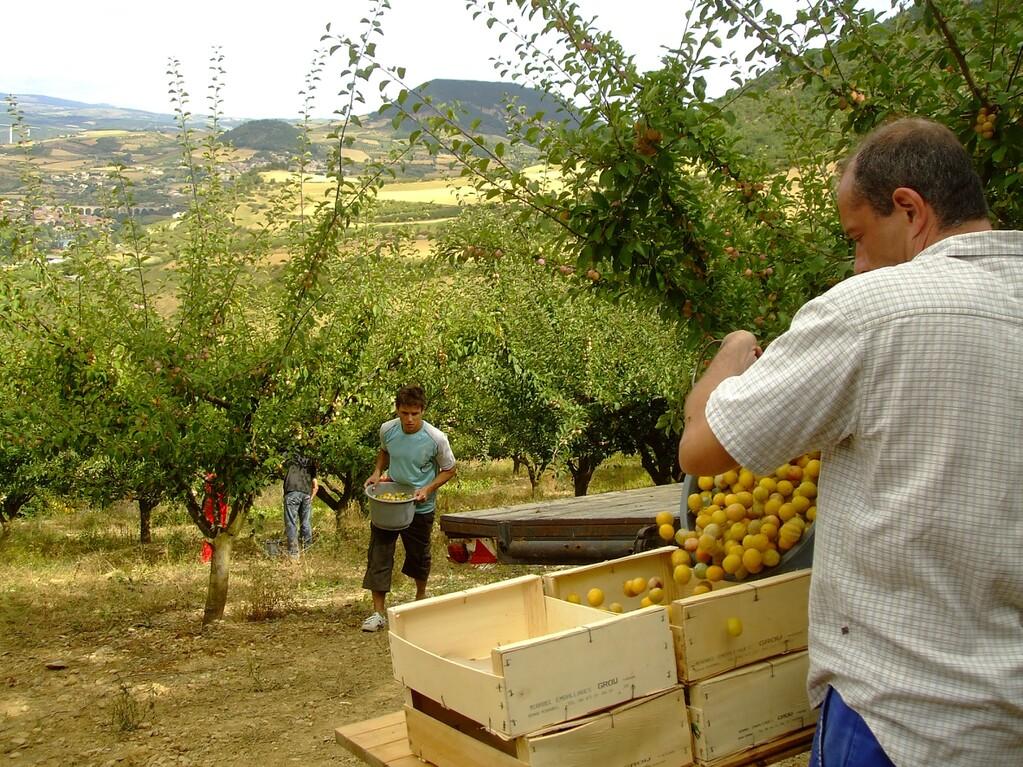 Ada sait pas dire non Ada sait pas dire non