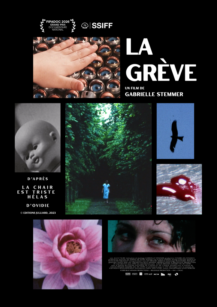 Festival Internacional de programas audiovisuales de Biarritz - FIPADOC - 2026