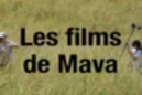 Les Films de Mava Les Films de Mava