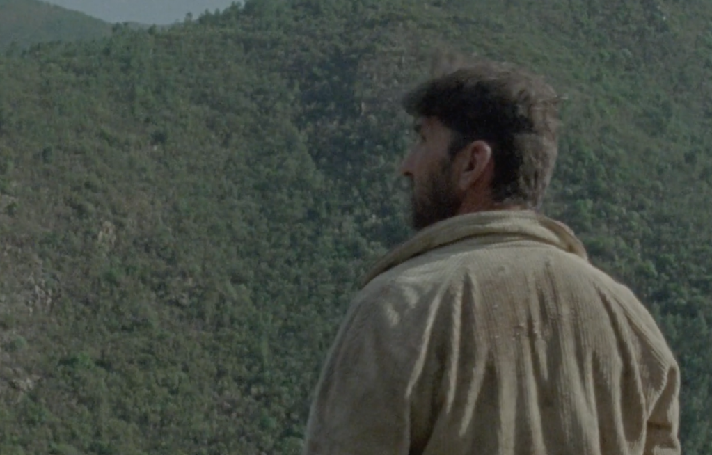 Mostra - S&atilde;o Paulo International Film Festival - 2019