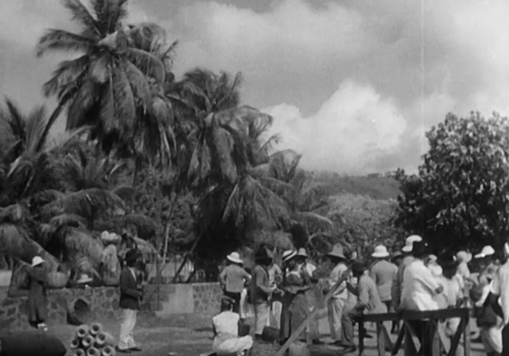 Au pays du vrai rhum Au pays du vrai rhum