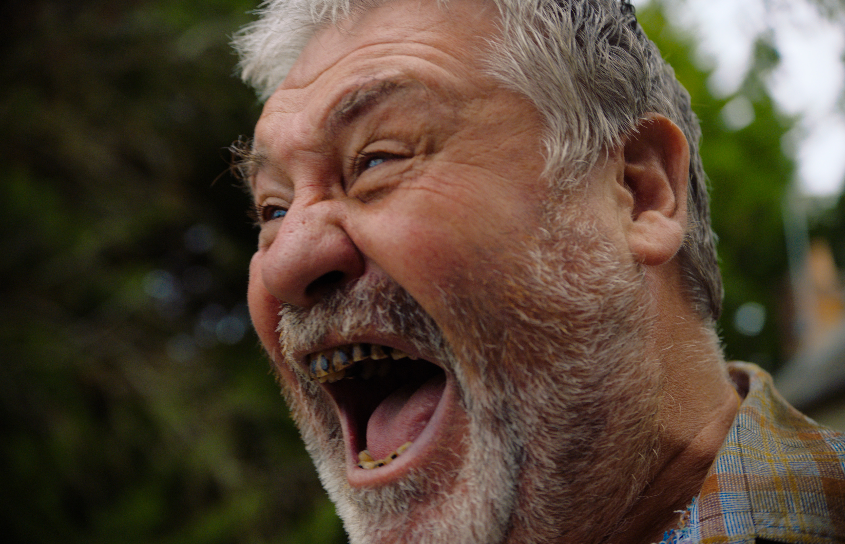 людовик бертийо.