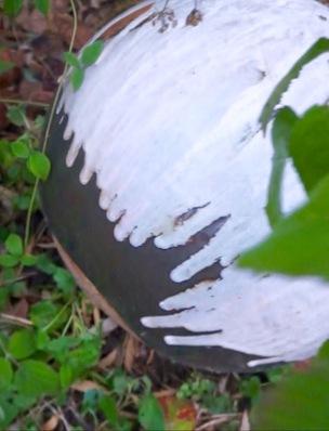 Claude Champy, mon céramiste de père Claude Champy, mon céramiste de père