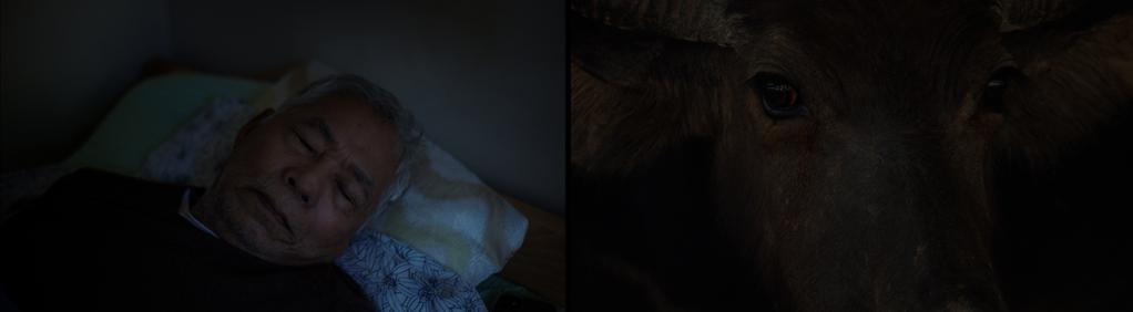 Au revoir Siam Au revoir Siam